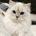 Avatar de brochette.de.chamallow