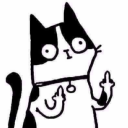 Avatar de ᓚᘏᗢ รђץ ッ