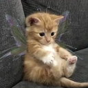 Avatar de Fairycat