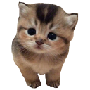 Avatar de Ohzebitabouret