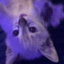 Avatar de evaisntheree