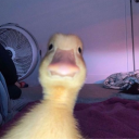 Avatar de ocean._.sun