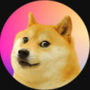 Avatar de multidoge