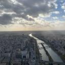 Avatar de Saraphina.