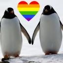 Avatar de KiwiPingouin