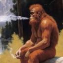 Avatar de audi0sl4ve