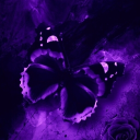 Avatar de .niralith.