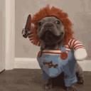 Avatar de volume_weighted_average_man