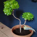 Avatar de runaway.4441