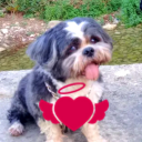 Avatar de runaway.4441