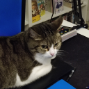 Avatar de KSR MURAKAMI