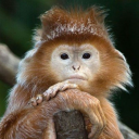 Avatar de TikTok come.frnd