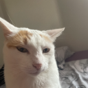 Avatar de LaBaguetteFR(3)