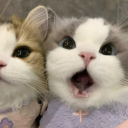 Avatar de fantaisiici