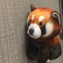 Avatar de Lanen JbxCorvus