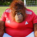 Avatar de Perez