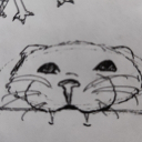Avatar de zenithlunaire