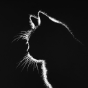 Avatar de kaxioiv