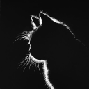 Avatar de kaxioiv