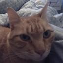 Avatar de ffronejchris